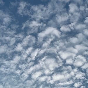 Meet your Posher, Shania